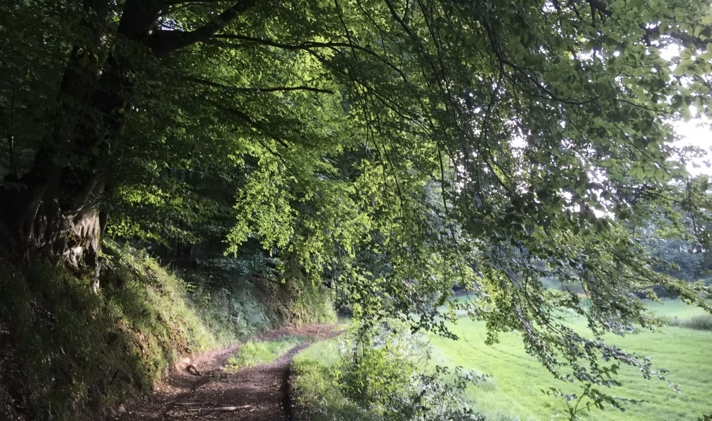 Menschenskinder Coaching, Business Coaching, Life Coaching in Bensheim Menschenskinder Coaching, Business Coaching, Life Coaching in Bensheim